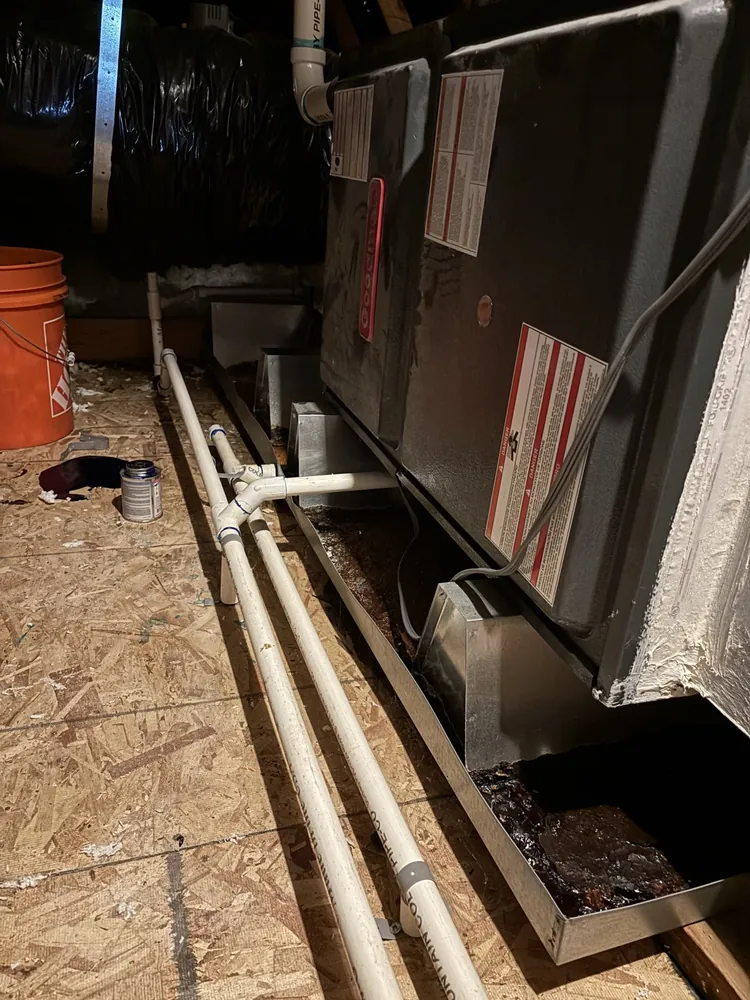 Gas furnace on stands over a drain pan with PVC condensate lines in a Folsom attic
